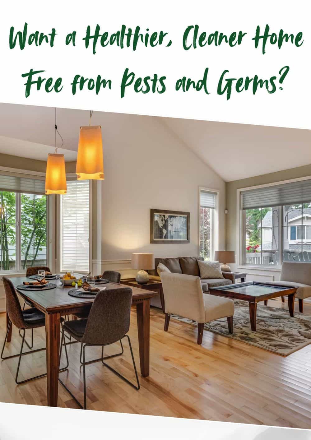 Hero image for Northwoods Cleaners LLC